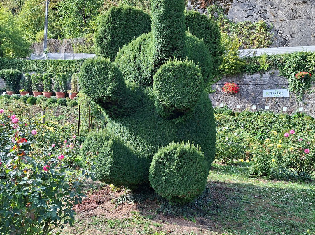 Topiary Park-德贝必去景点