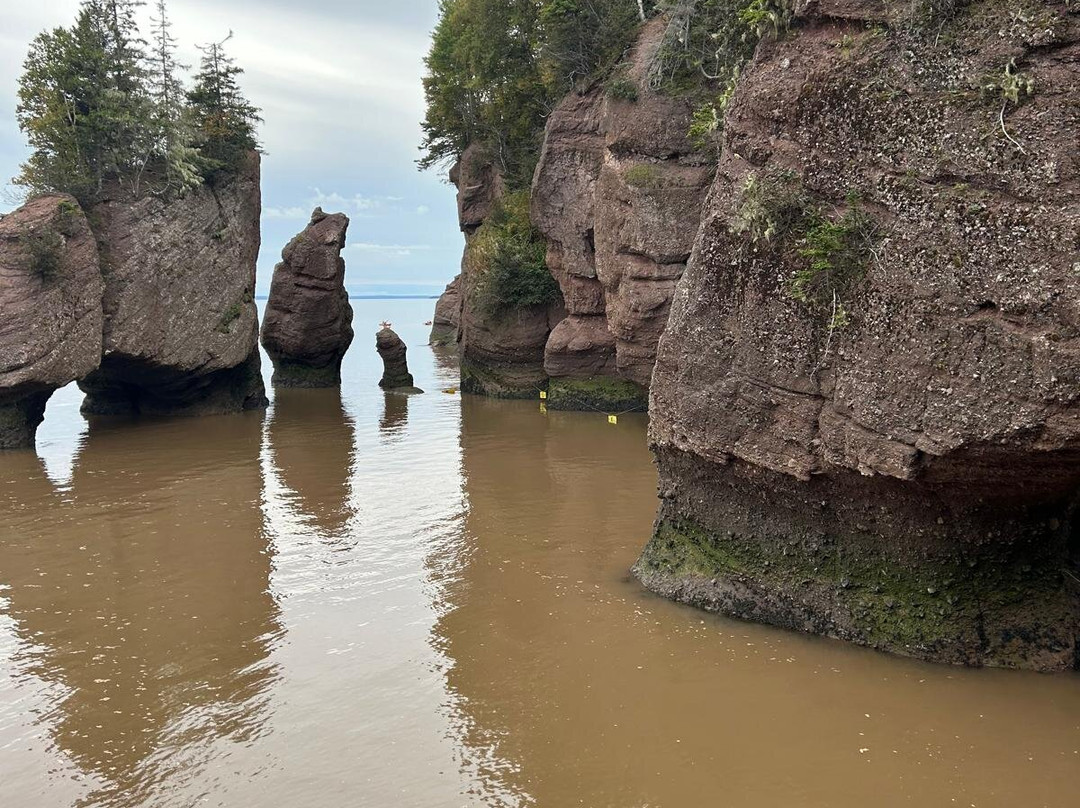 Hopewell Rocks-霍伯威尔角必去景点
