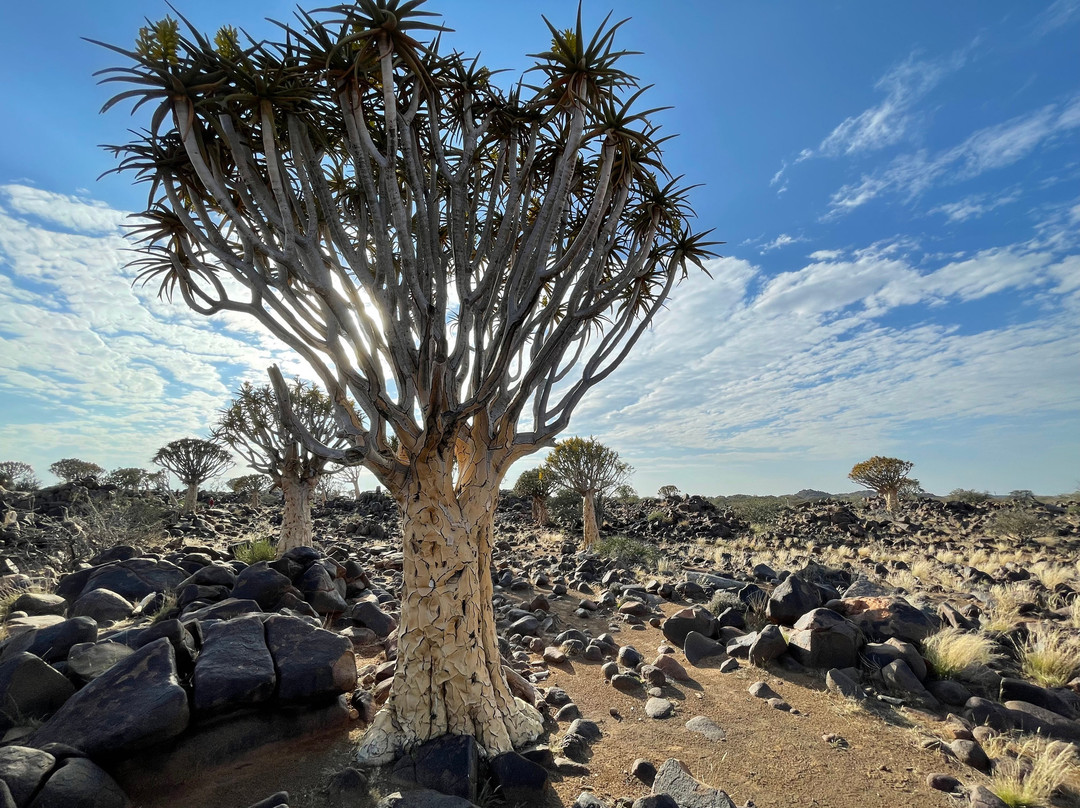 Garas Park Camp-Keetmanshoop必去景点