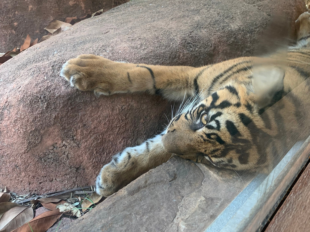 Oklahoma City Zoo and Botanical Garden-俄克拉何马城必去景点