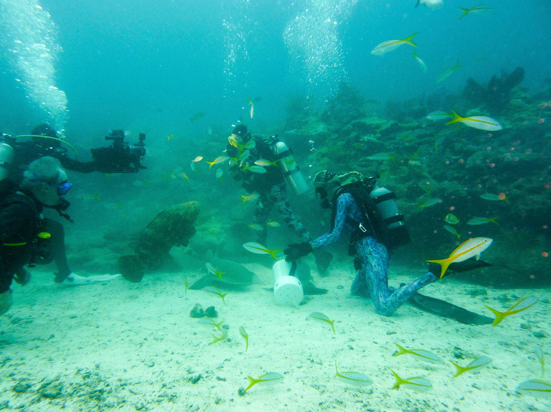 Captain Slate's SCUBA Adventures-Tavernier必去景点