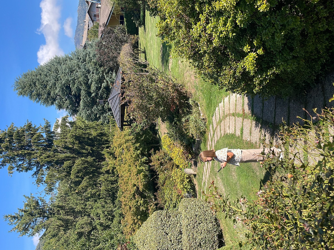 Hotel Italia主图