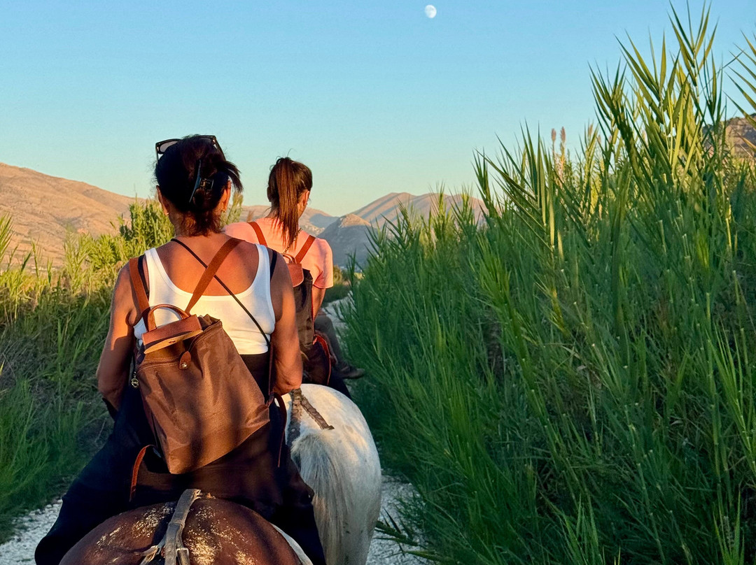 Konispol Horse Riding Tours-Konispol必去景点