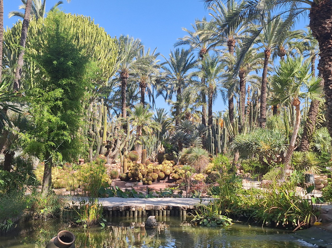 Jardín Artístico Nacional Huerto Del Cura-埃尔切必去景点