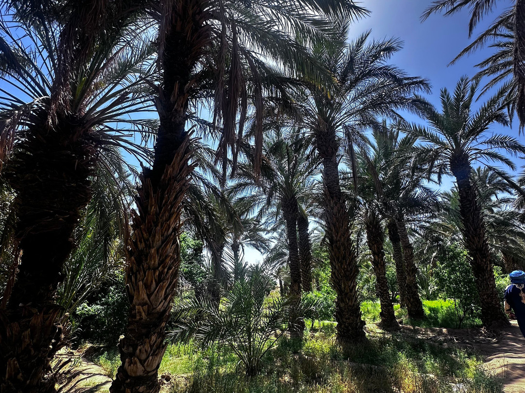 True Morocco Experience-Hassilabied必去景点