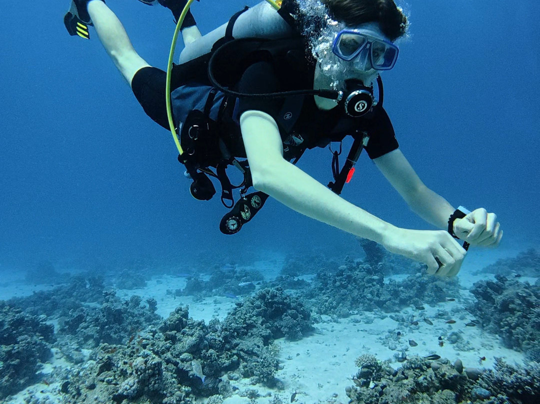 Red Sea Horse Diving-Hurghada 1必去景点