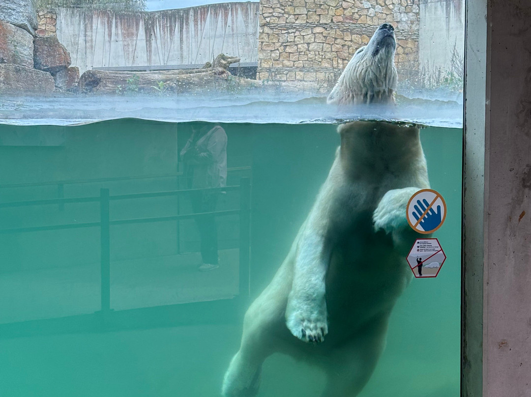 Tallinn Zoo-塔林必去景点