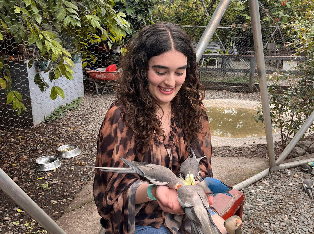El Domo, Aves y Café