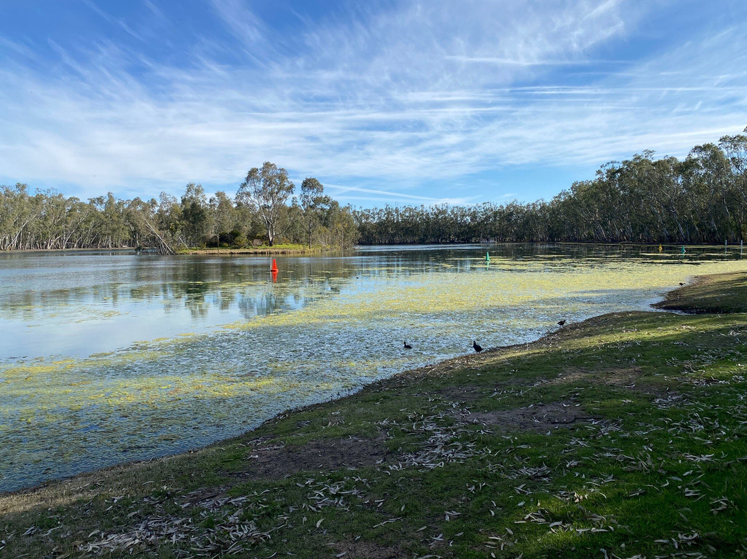 Nhill Lake-Nhill必去景点