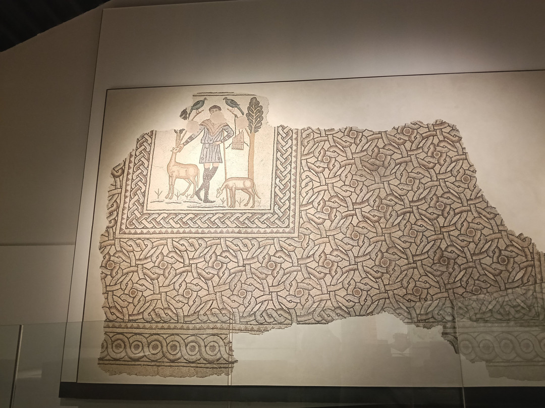 CLASSIS RAVENNA - Museo della Citta e del Territorio-拉韦纳必去景点