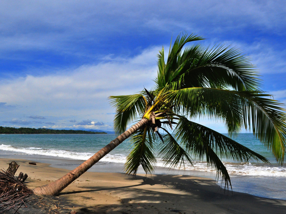 Playa Manzanillo-Manzanillo必去景点