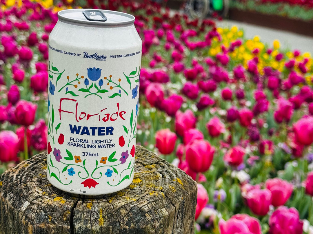 Floriade-堪培拉必去景点