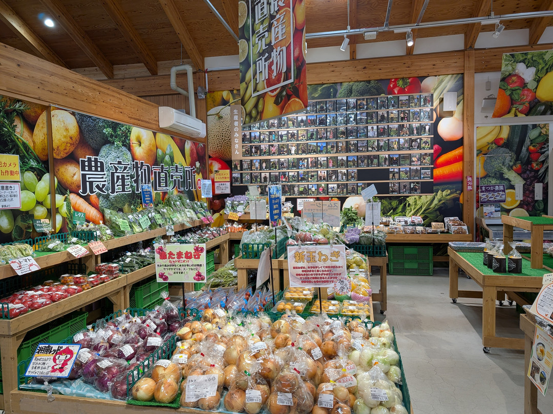 Michi-no-Eki Ashigara Kitaro no Furusato-南足柄市必去景点