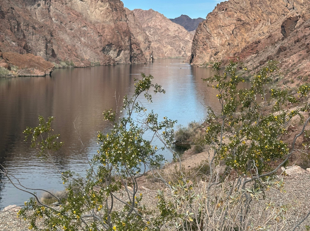 Kayak Lake Mead-拉斯维加斯必去景点