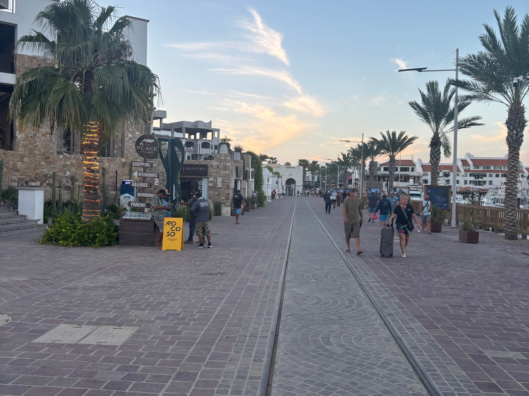 Marina Cabo San Lucas-卡波圣卢卡斯必去景点