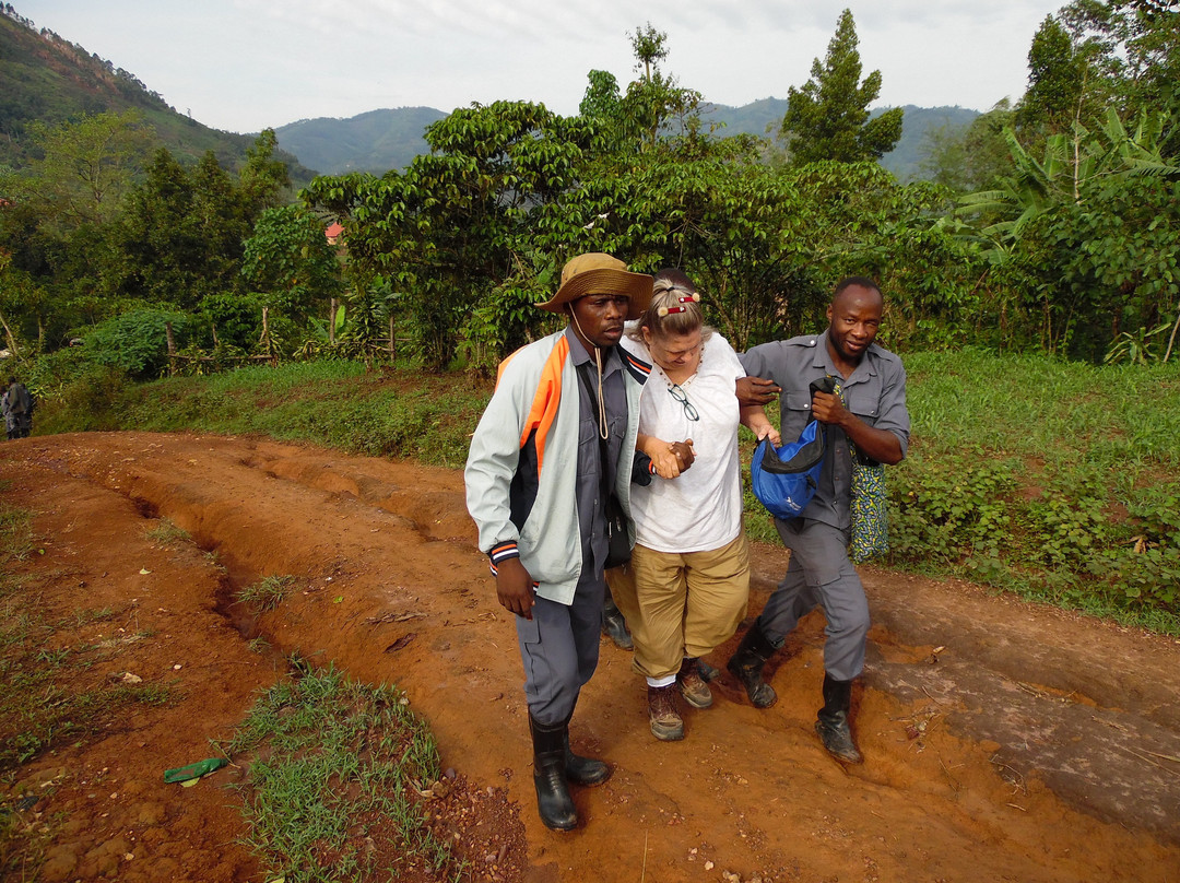 Bwindi Impenetrable Forest-Western Region必去景点
