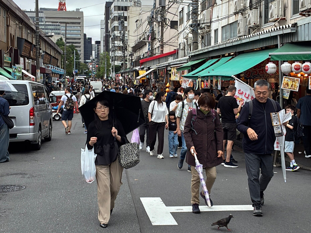 Tsukiji Fish Market-Tsukiji必去景点