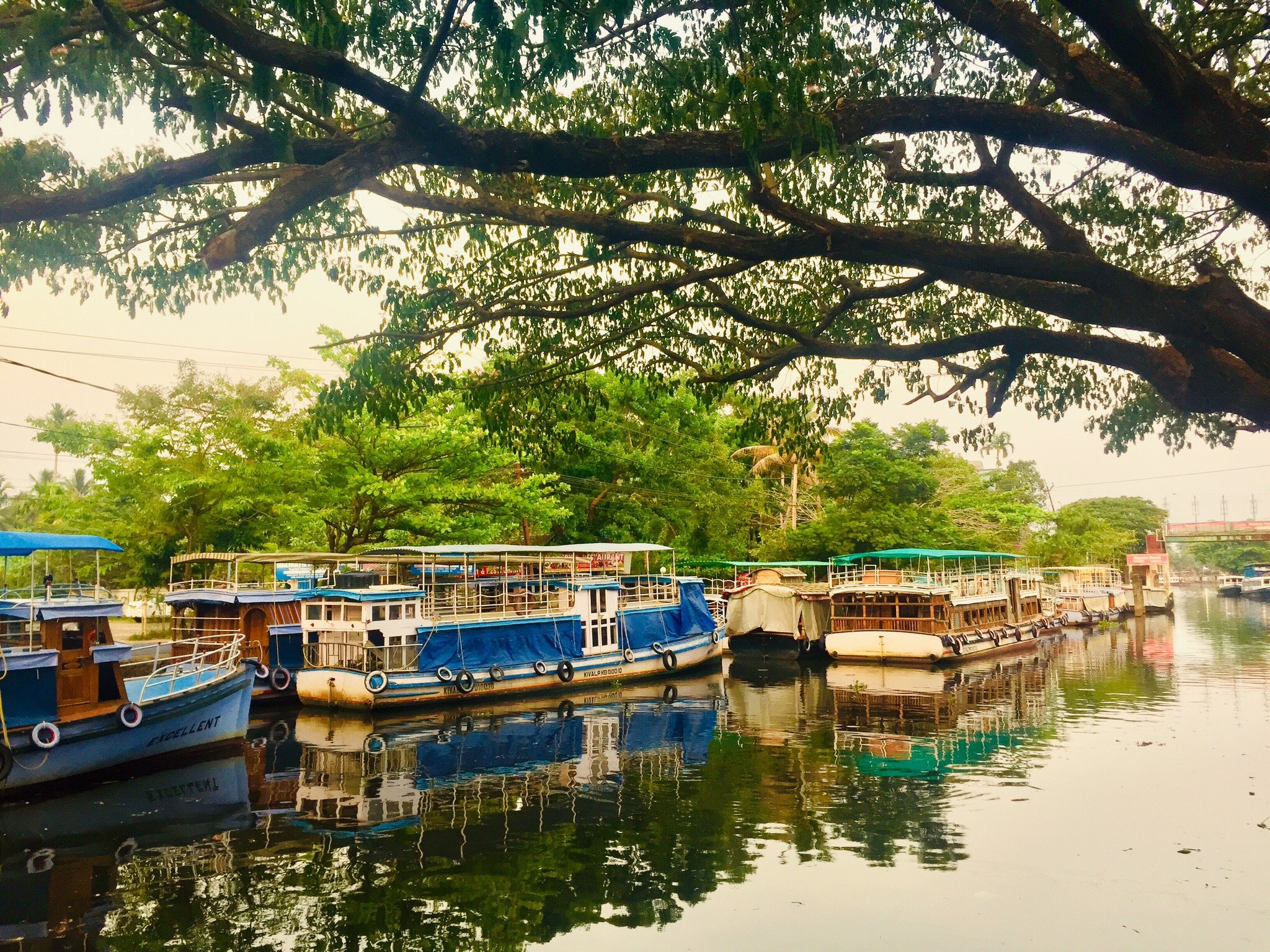 Peaceful Lake Homestay-官方
