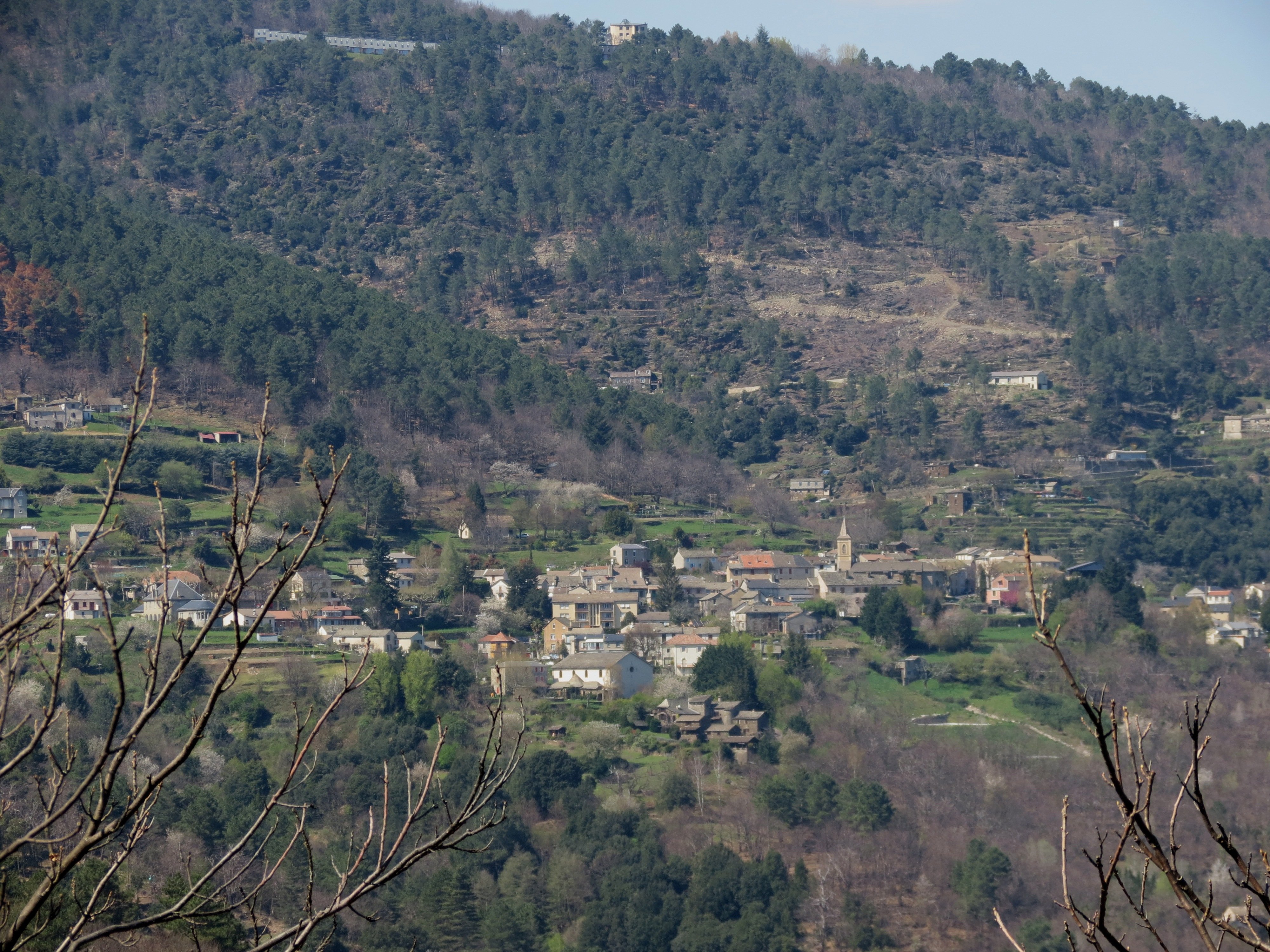 Au Figuier des Cévennes-官方