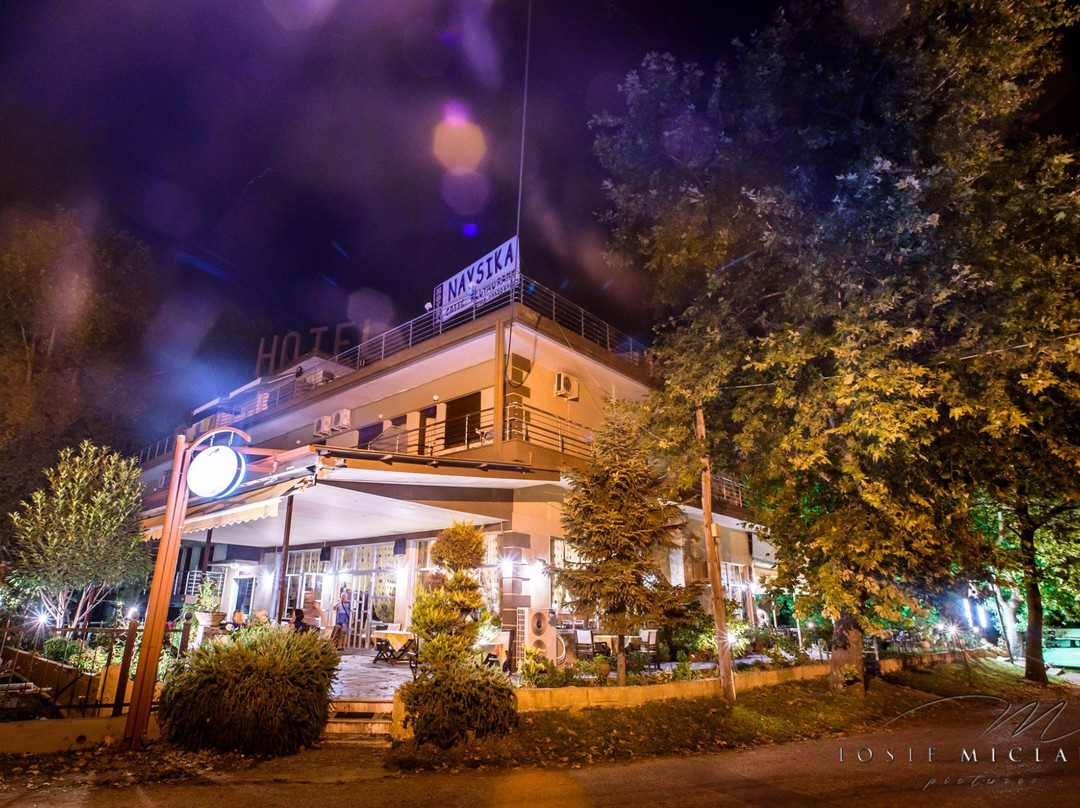 Litochoro酒店住宿-Naysika Hotel