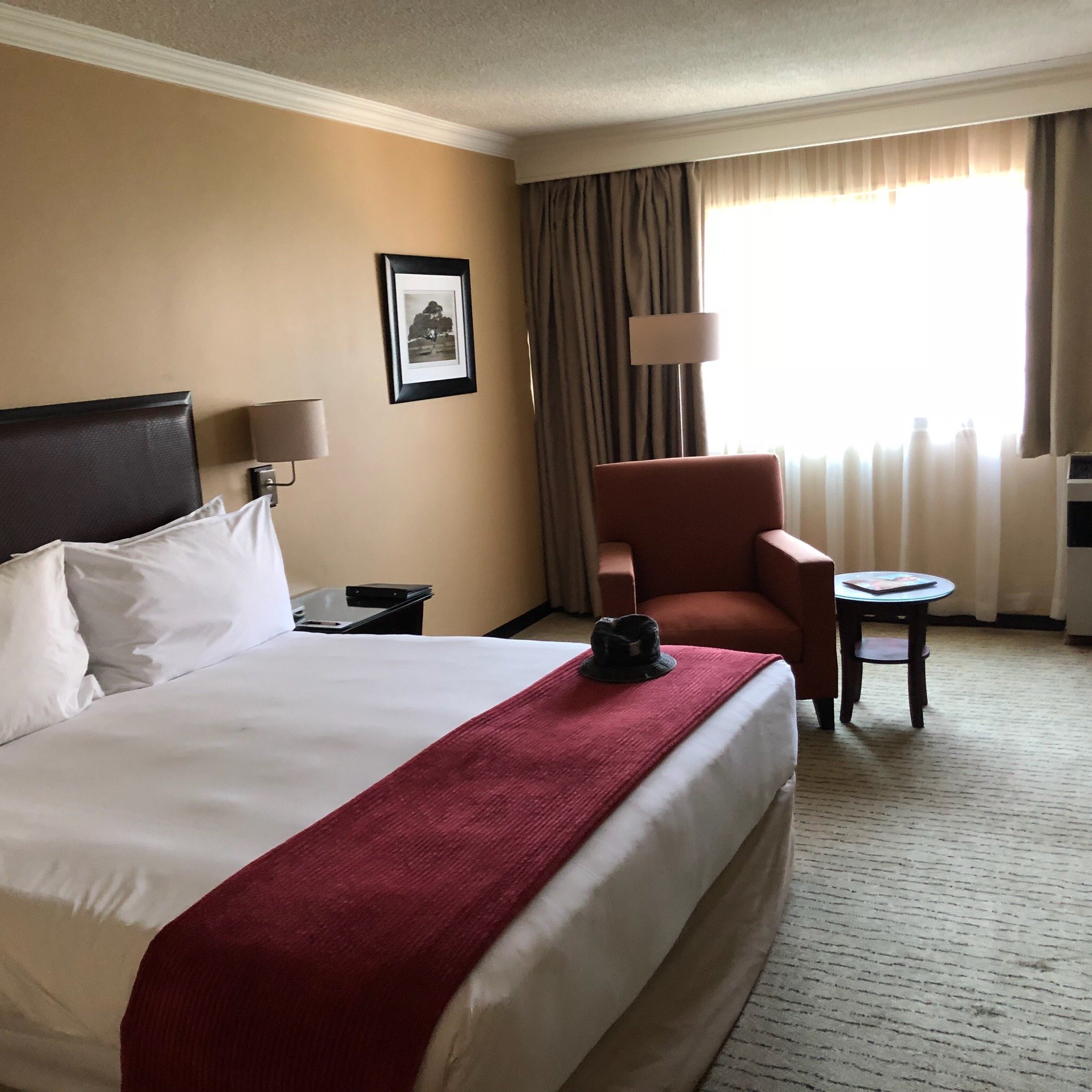 Southern Sun Pretoria-官方