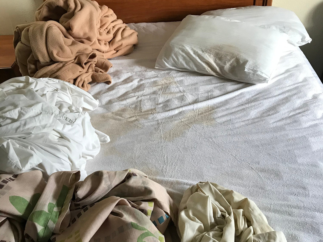 Executive Inn Port Lavaca By Oyo