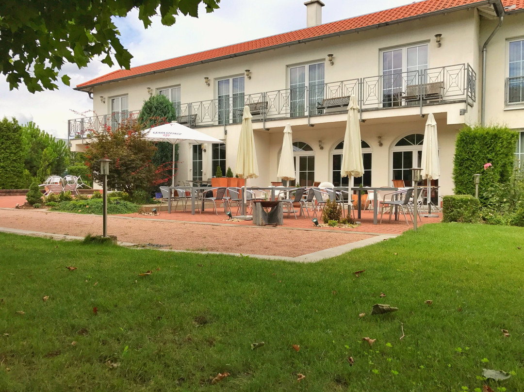 Hochheim am Main酒店住宿-Hotel Zielonka