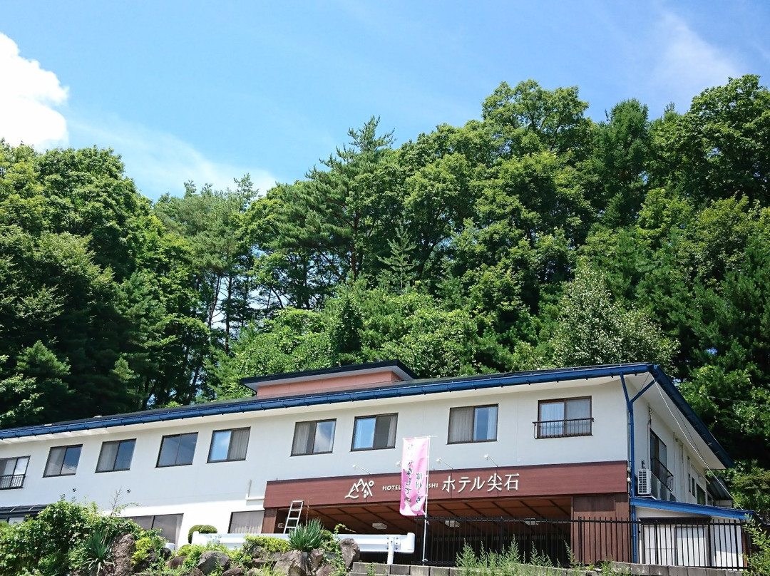 Hotel Togariishi