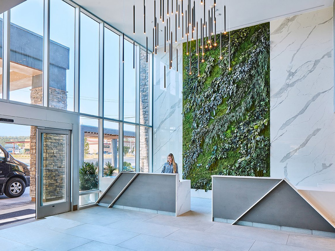 Hotel Trio Healdsburg主图