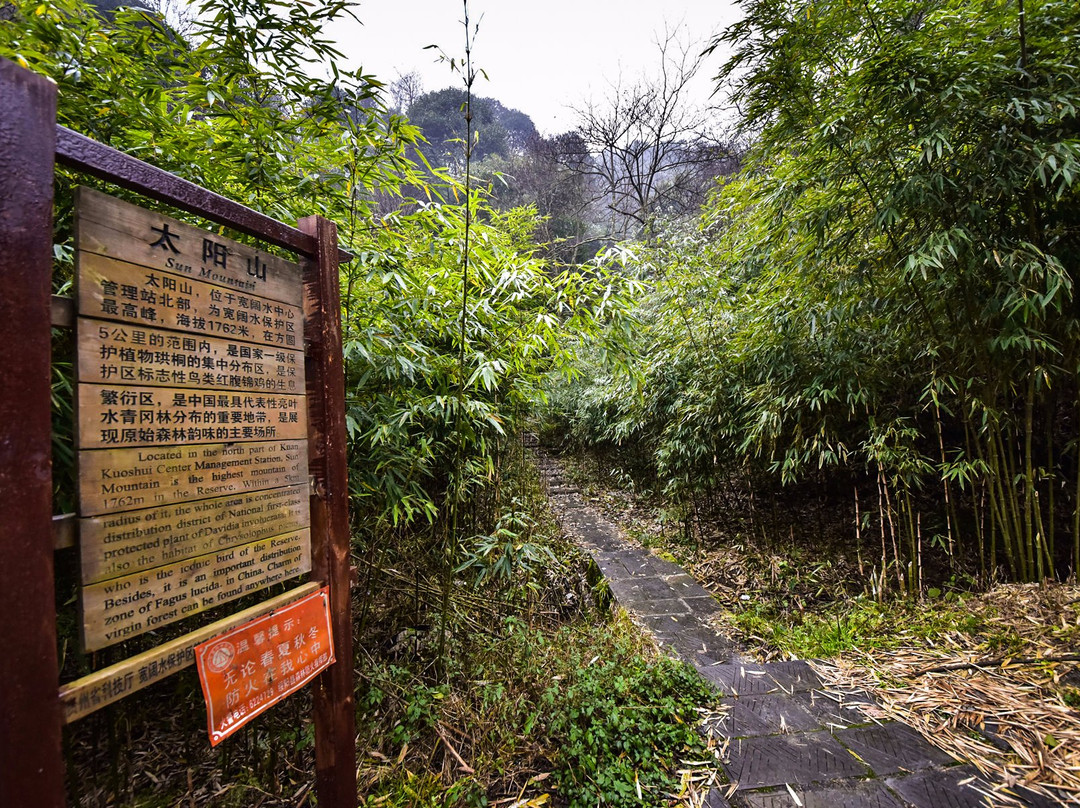 宽阔水原始森林景点图片
