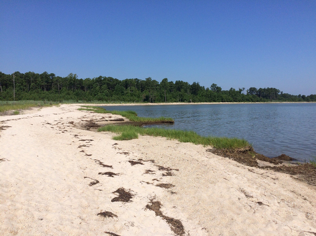 Reedville旅游攻略图片