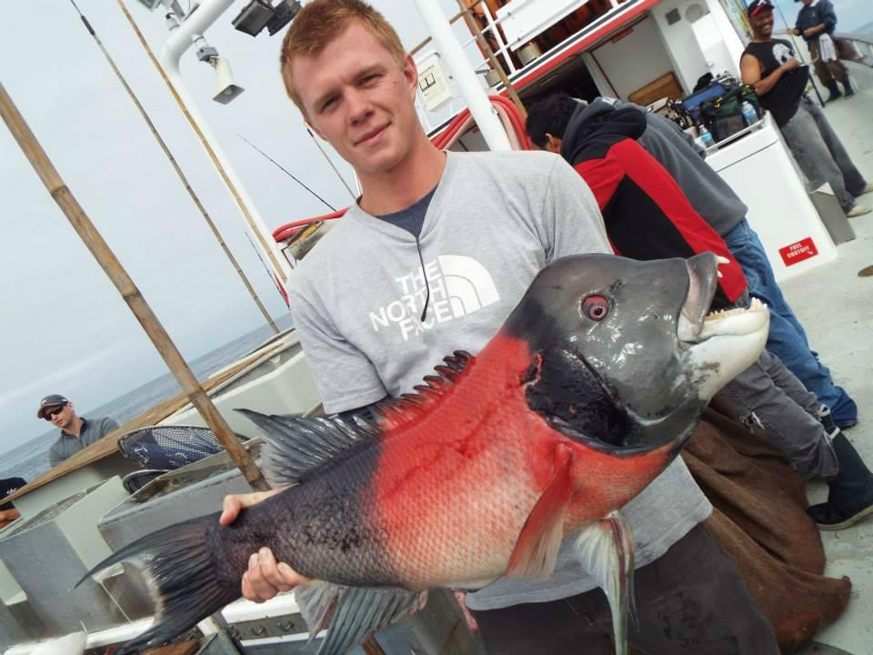Long Beach Sportfishing-长滩必去景点