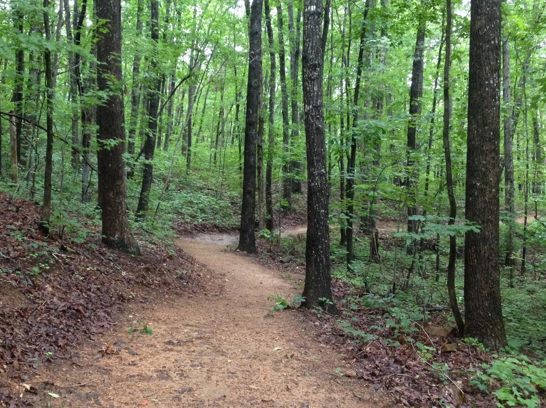 Rocky Face Mountain Recreational Area