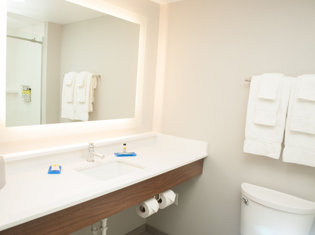 诺福克快捷假日&套房酒店主图