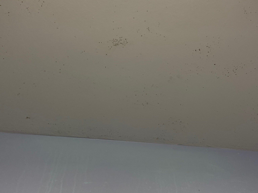 Baymont by Wyndham Henderson Oxford主图