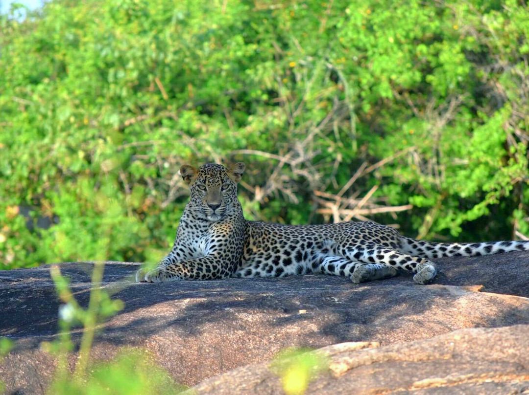 Menaka Safari-蒂瑟默哈拉默必去景点