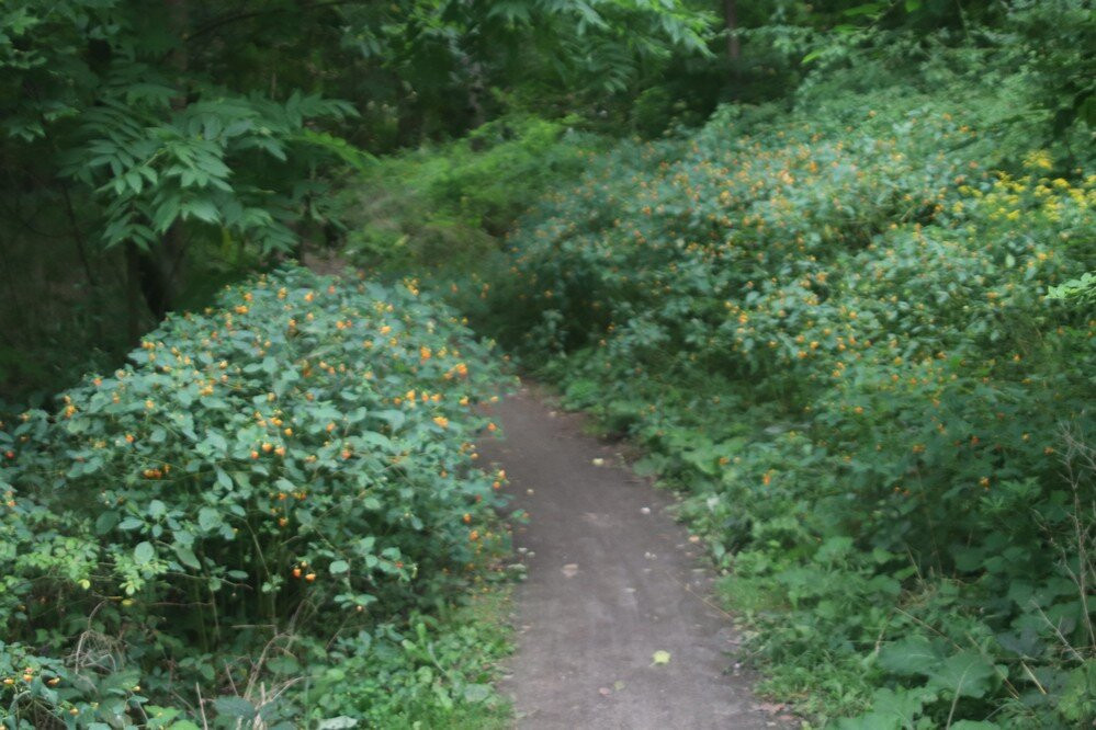 Steve Bauer Trails, Fonthill-方特希尔必去景点
