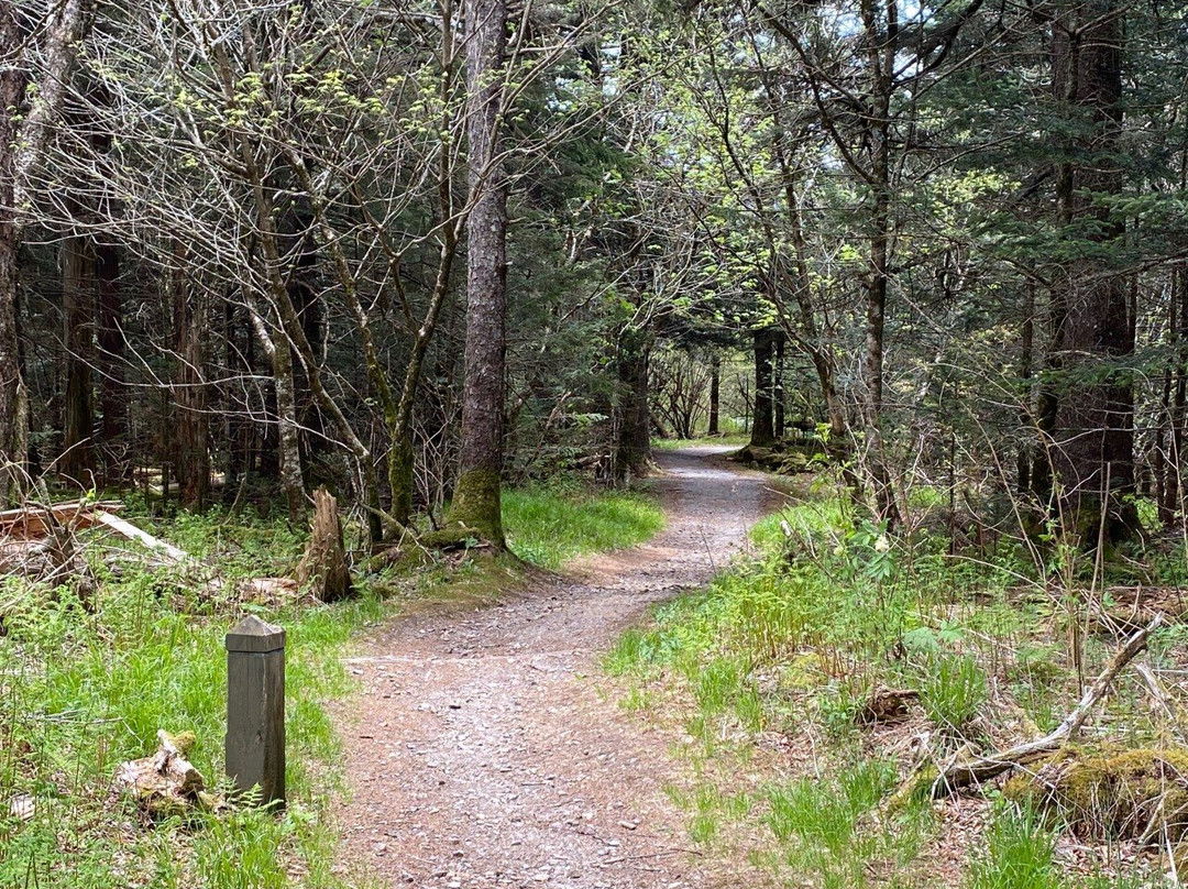 Richland Balsam Mountain-Balsam必去景点