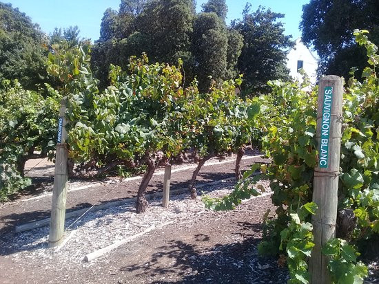 She Voyage hospitality-弗维斯必去景点