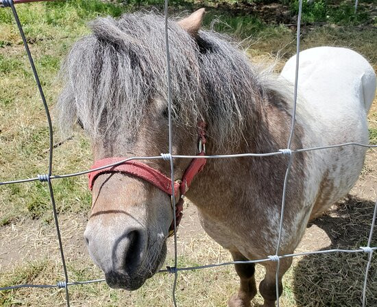 Domaine Des Trois Vents-Val d'Or必去景点