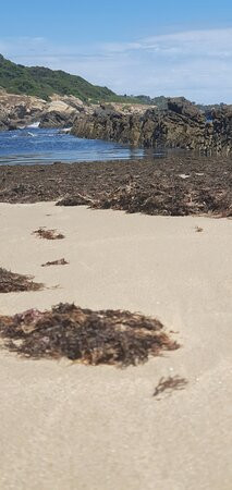 Piscinas Naturales de Bolonia景点图片