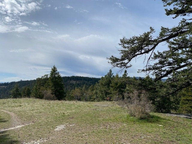 Lone Pine State Park景点图片