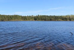 Parvin State Park-Elmer必去景点