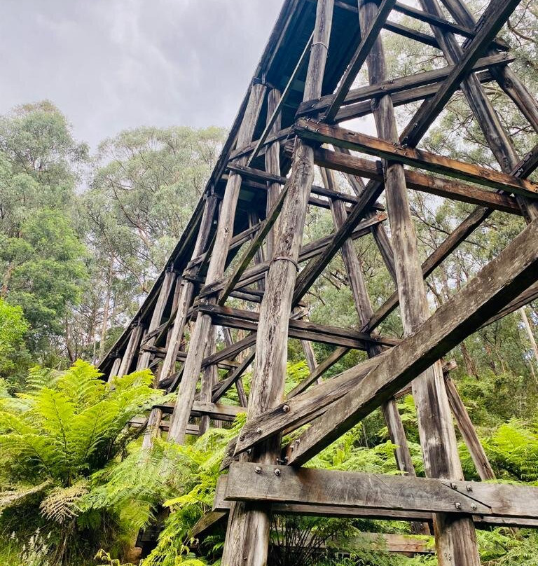 Noojee Trestle Bridge景点图片