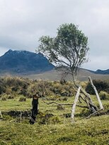 坦博帕西酒店主图