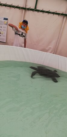 Aquarium Laguna di Nora-普拉必去景点