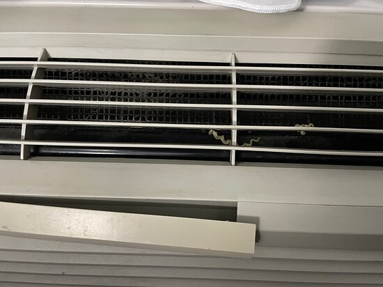 Best Western Inn Florence主图