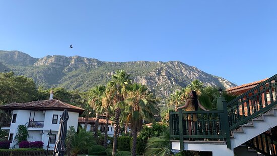 Yucelen Otel-官方