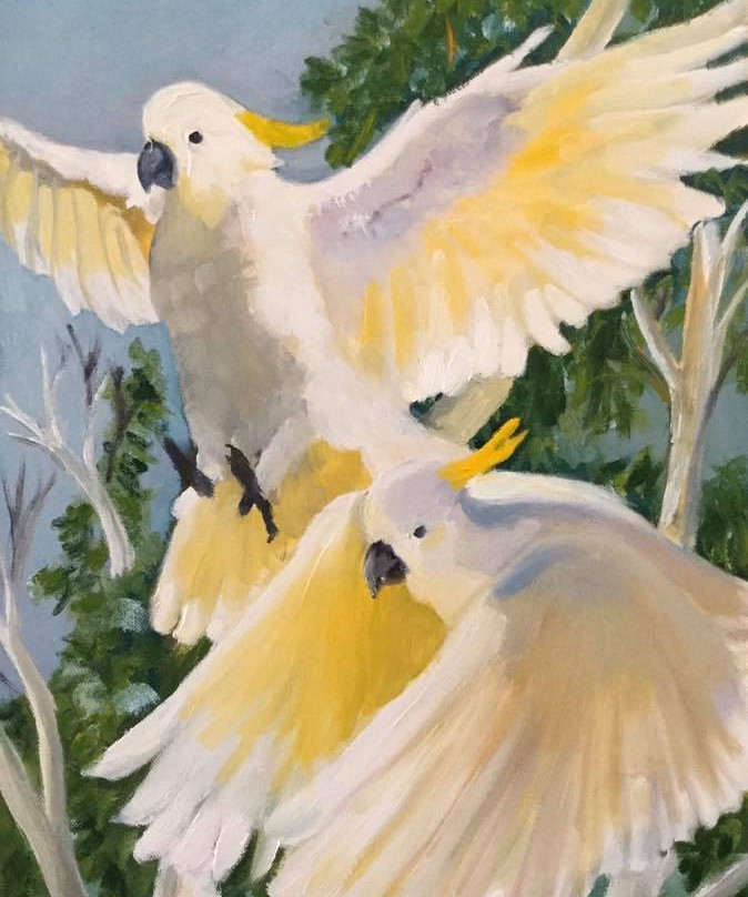 Arts Collective Clare Valley景点图片