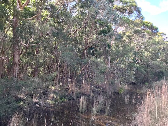 Gir-um-bit National Park景点图片